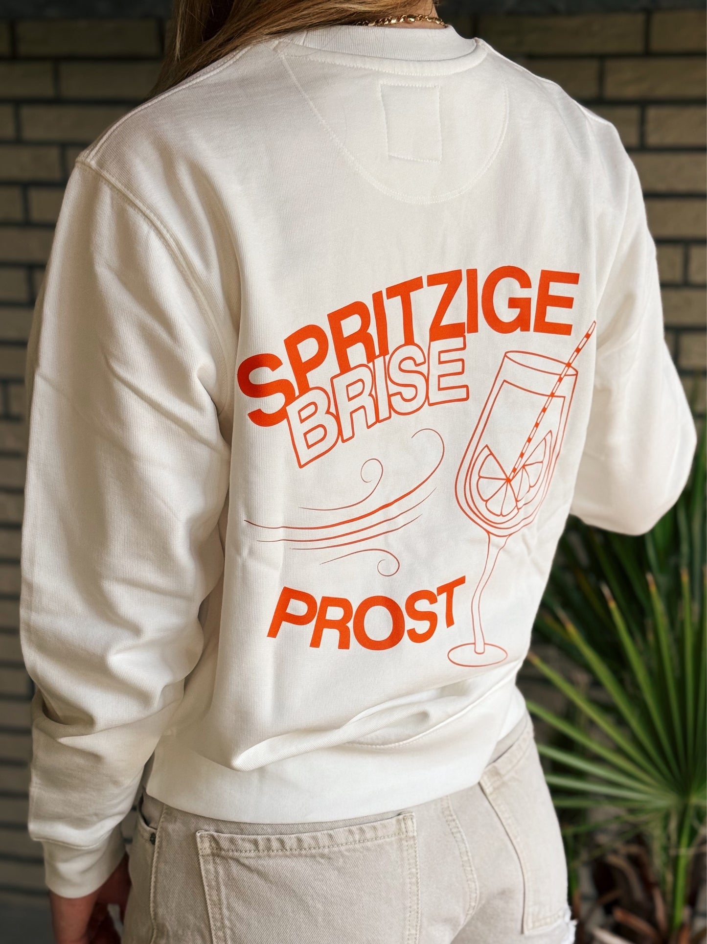 Sweater 'Spritzige Brise'
